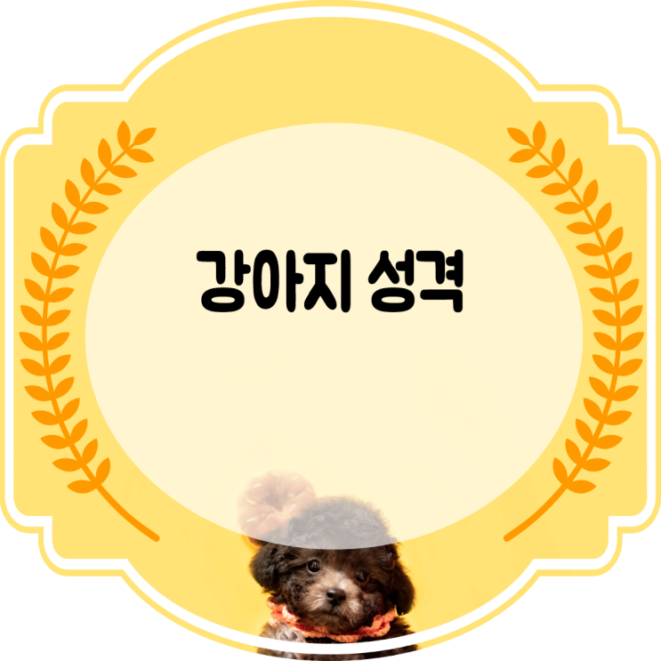  강아지 성격