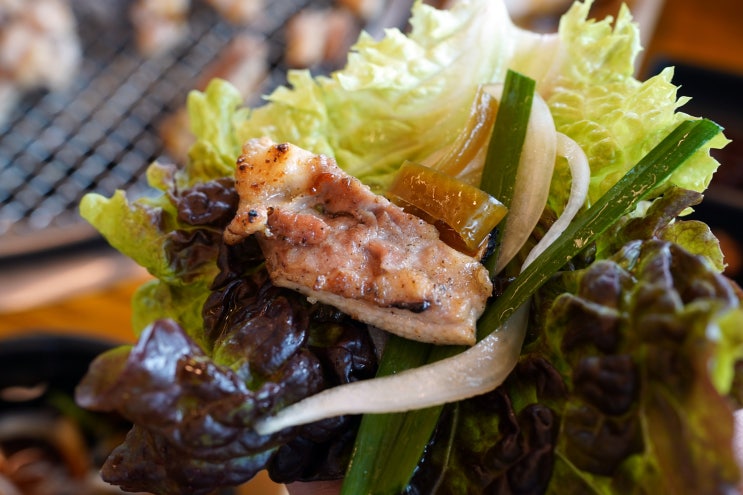  춘천 닭갈비 맛집 통나무집 숯불닭갈비 내돈내산 후기