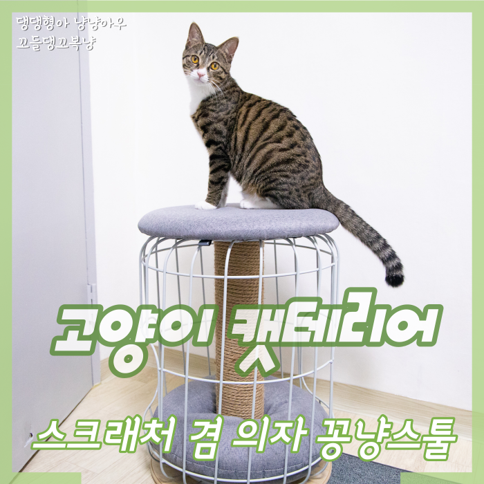  고양이 스크래처 하우스 겸 의자, 캣테리어 꽁냥스툴