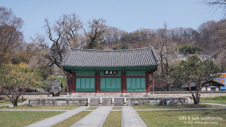 전주 한옥마을 | 조선시대 대학교 전주향교의 봄 ASMR