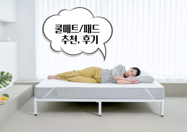  아기·강아지(애견)들도 사용할 수 있는 프로젝트슬립 침대 아이스쿨매트/패드 추천, 실제 후기