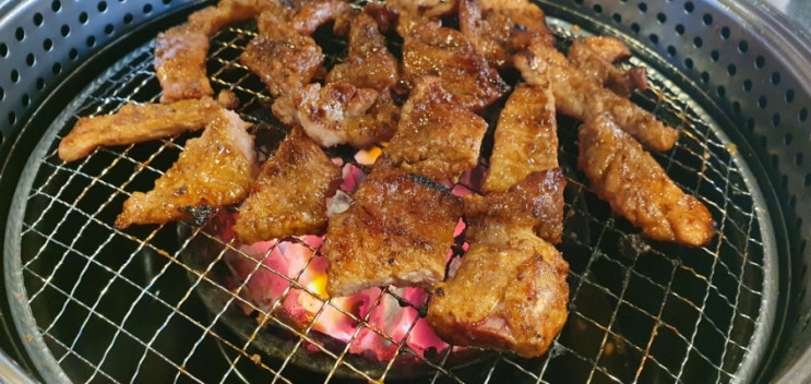  대전 서구 고기 맛집 도안동 한돈숯불갈비