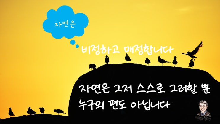  홍길동의 고뇌나 현대인의 눈치나···