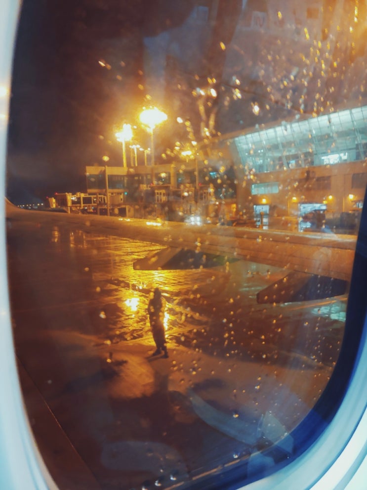  입국