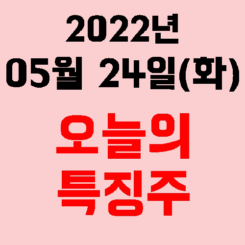  오늘의 시장 특징주 2022년 05월 24일(화)
