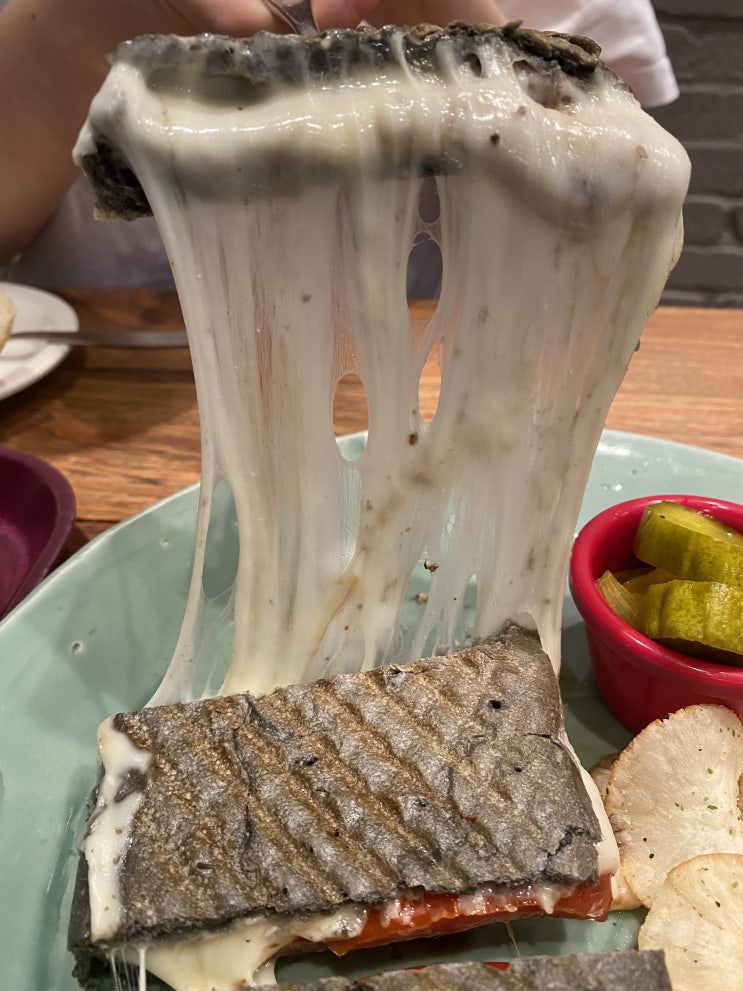  카페마마스 광화문점! 리코타치즈샐러드, 모짜렐라토마토파니니, 케일청포도주스 내돈내산 찐후기!