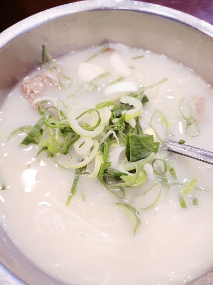  대구 달서구 두류동 맛집 [푸주옥설렁탕] 설렁탕과 김치가 맛있어요️