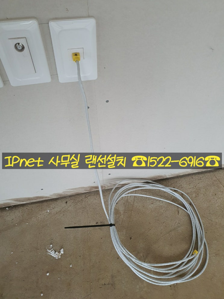  경기도 안양시 사무실 다회선 랜선설치, 하루만에 뚝딱!
