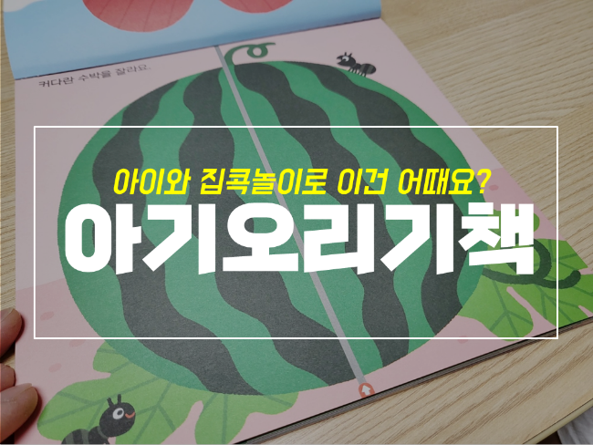  4세 아기 첫 오리기책 이거 어때? 유아용 안전가위까지