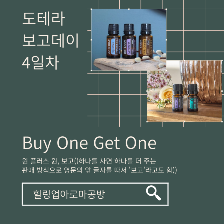  2022 보고데이4일차 '다이제스트젠 15ml + Get 2 라벤더 15ml & 오렌지 15ml' '앵커 & 얼라인' 놓치지마세요!