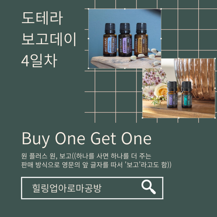 2022 보고데이4일차 '다이제스트젠 15ml + Get 2 라벤더 15ml & 오렌지 15ml' '앵커 & 얼라인' 놓치지마세요!