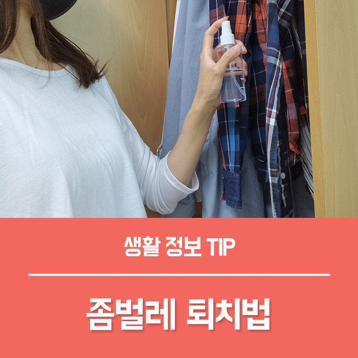  저만 알고 싶은 먼지다듬이 좀벌레 퇴치법 9가지