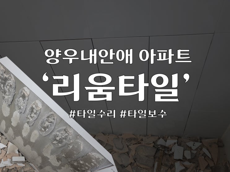  리움타일 : '타일수리' : 물금 '양우내안애 APT'