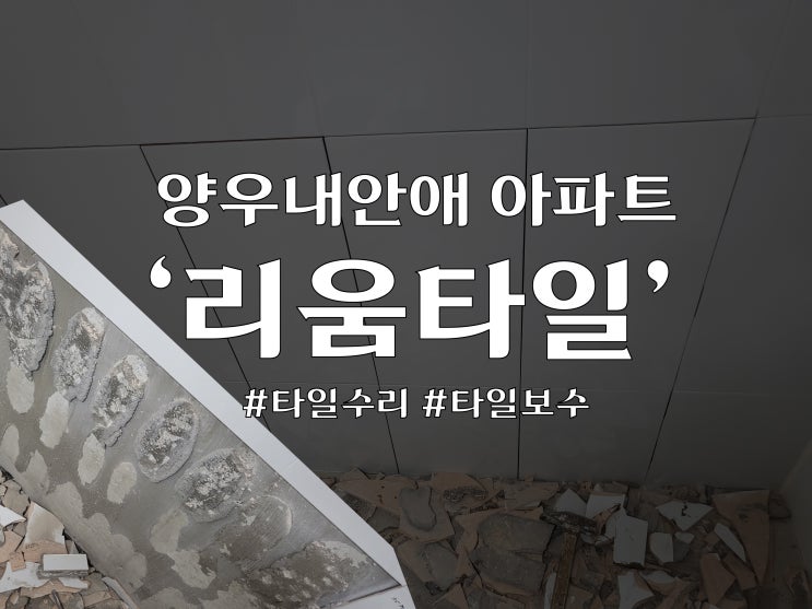 리움타일 : '타일수리' : 물금 '양우내안애 APT'