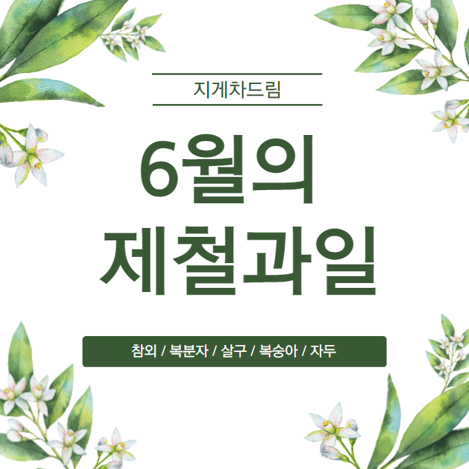 6월의 제철과일 / 참외 / 복분자 / 살구 / 복숭아 / 자두 / 건강 챙기기
