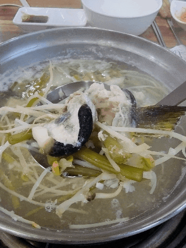  김해 복어맛집 "부산복어집" 맛집 중에 맛집, 몸보신 제대로 했어요!