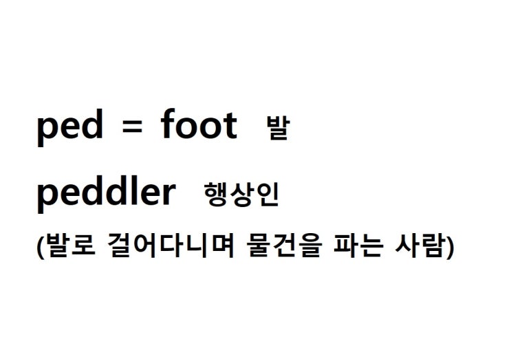 어근 ped = foot 발 (peddler 발로 걸어다니며 물건을 파는 사람 = 행상인)