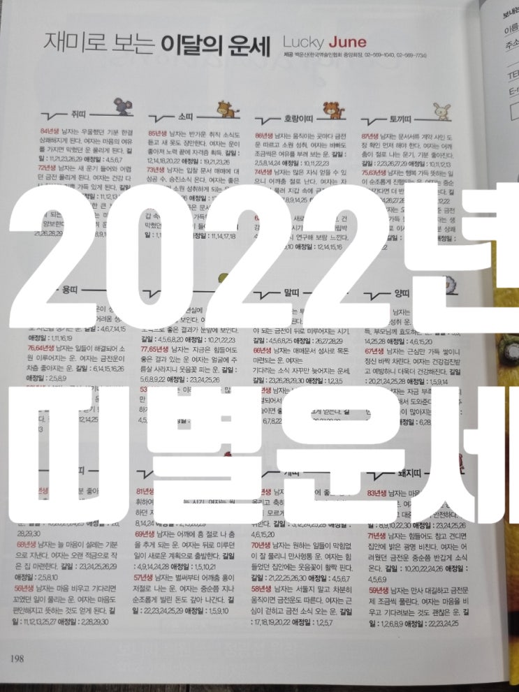  2022년 6월 띠별운세