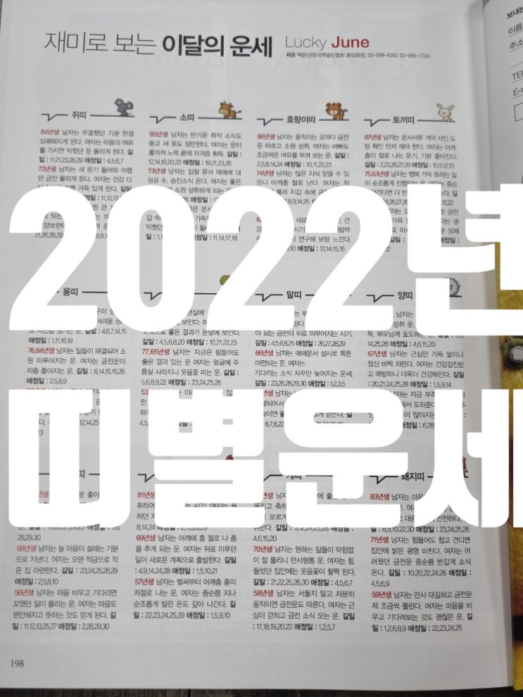 2022년 6월 띠별운세