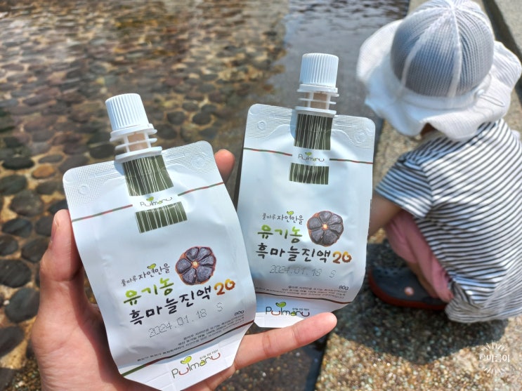  흑마늘즙 효능 남해 흑마늘로 건강하게 먹어보기