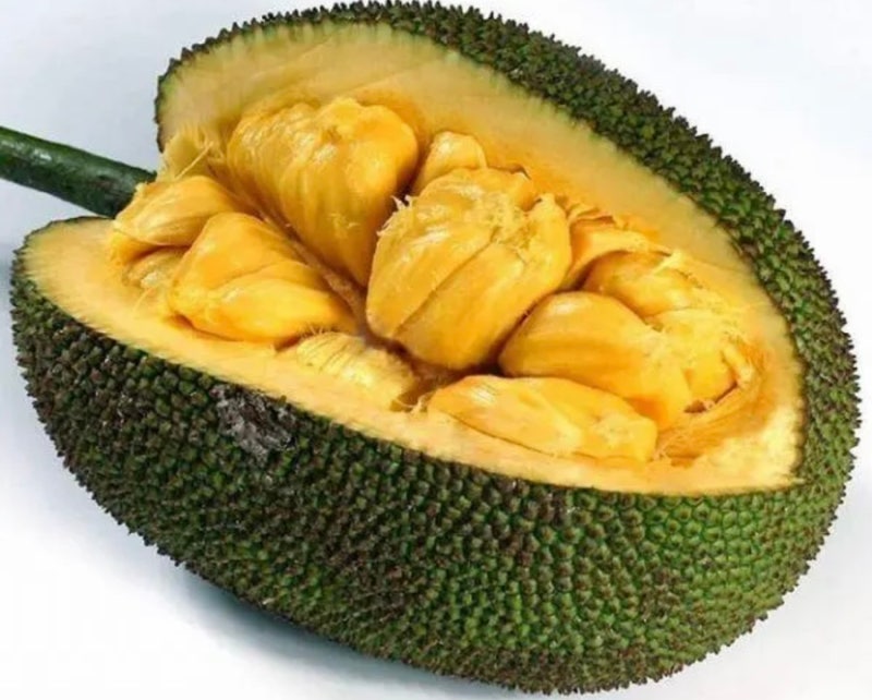 베이프하우스 이미지