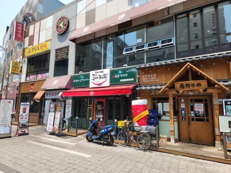  양산 중부동 "도야짬뽕" 불맛 강한 얼큰한 차돌짬뽕 포장 후기(내돈내산, 객관적 평가)