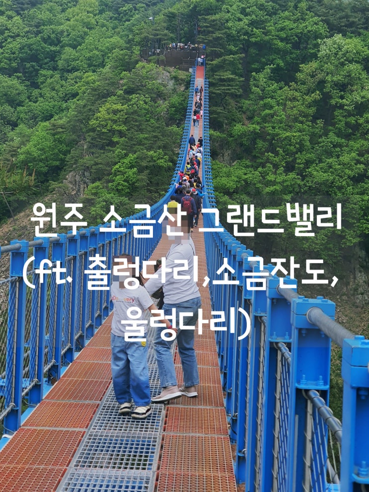  원주 소금산 그랜드밸리 (ft. 소금산 출렁다리) 경치 끝내줌! 꼭 가세요~