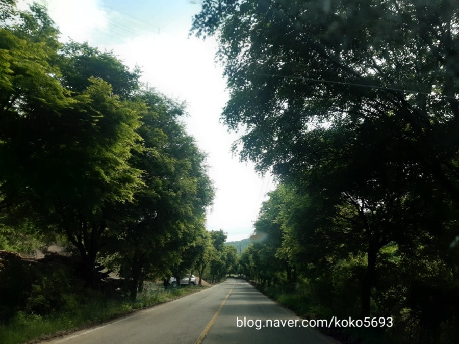 와룡호 사진 2