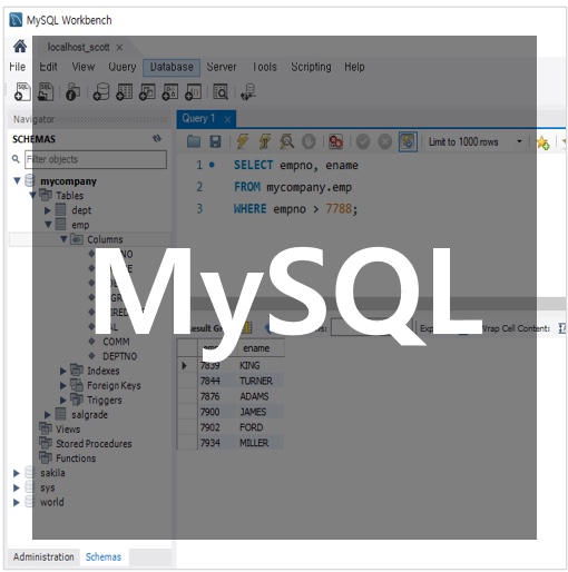 [MySQL] 집합 함수 (Aggregate Function)