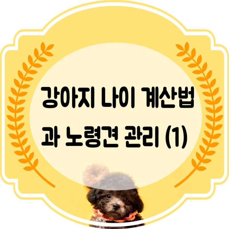  강아지나이계산 법과 노령견관리법 이야기 (1)