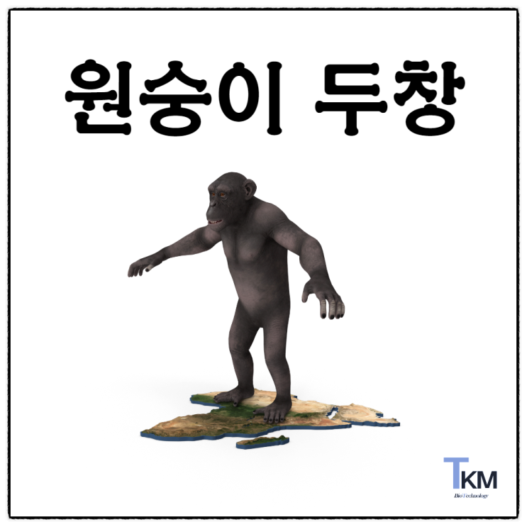  원숭이두창(monkeypox virus)은 천연두 바이러스 같은 종류의 인수공통감염병? 유럽 광란파티 성관계 원인
