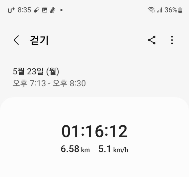  5월 23일 하루 걷기 오후.
