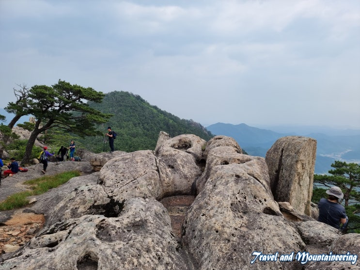  강원 삼척 쉰움산 오십정