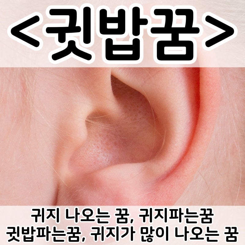 [쉬운 꿈해몽] 귓밥꿈 :: 귀지 나오는 꿈, 귀지파는꿈, 귓밥파는꿈, 귀지가 많이 나오는 꿈