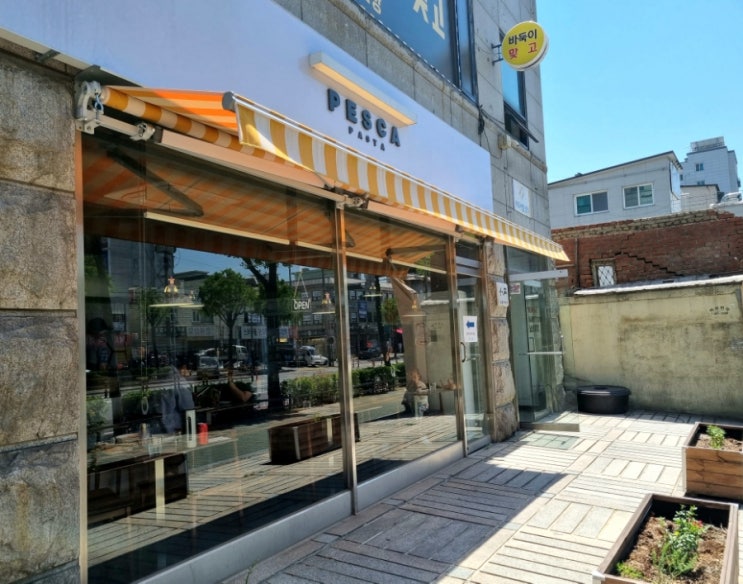  [연신내 페스카 PESCA] 까넬로니 먹으러 계속 가게되는 맛집