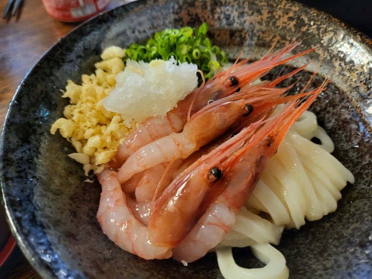 우동당. 속초 맛집. 추천. 우동당. 속초 맛집. 추천.