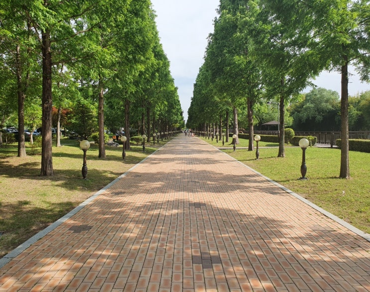  진주 초전공원 피크닉 즐기기엔 안성맞춤