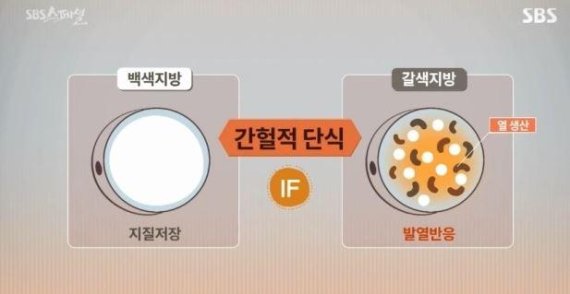  [건강하게 사는 법] 5.단식의 효능
