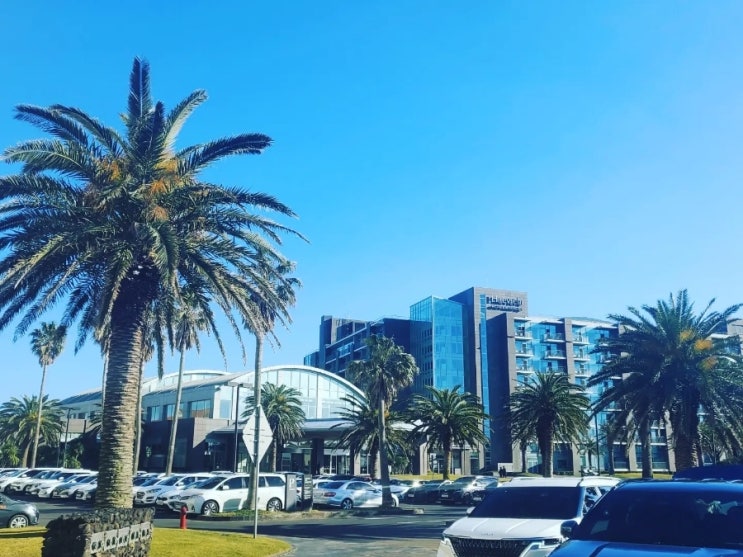  [제주도] 해비치 리조트  제주도 오션뷰 리조트