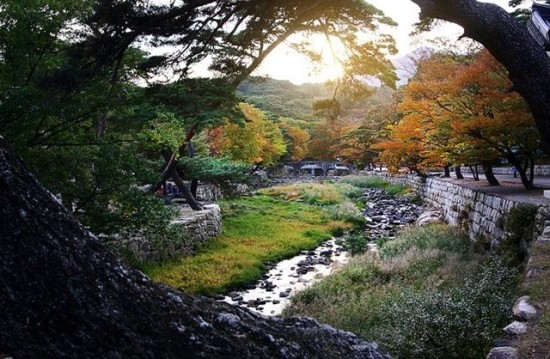  Learn and experience the beauty of our nature