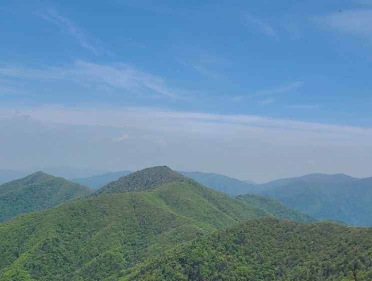 100대명산-94, 계방산 최단코스 등산(운두령~쉼터~전망대~계방산~원점)