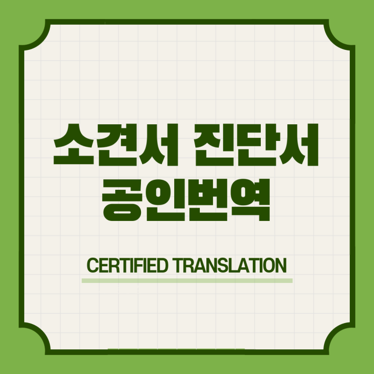  뉴질랜드 워홀비자 신청방법 & 병원진단서 의사소견서 번역공증촉탁대행 [선릉 삼성 선정릉 삼성중앙 봉은사 종합운동장]