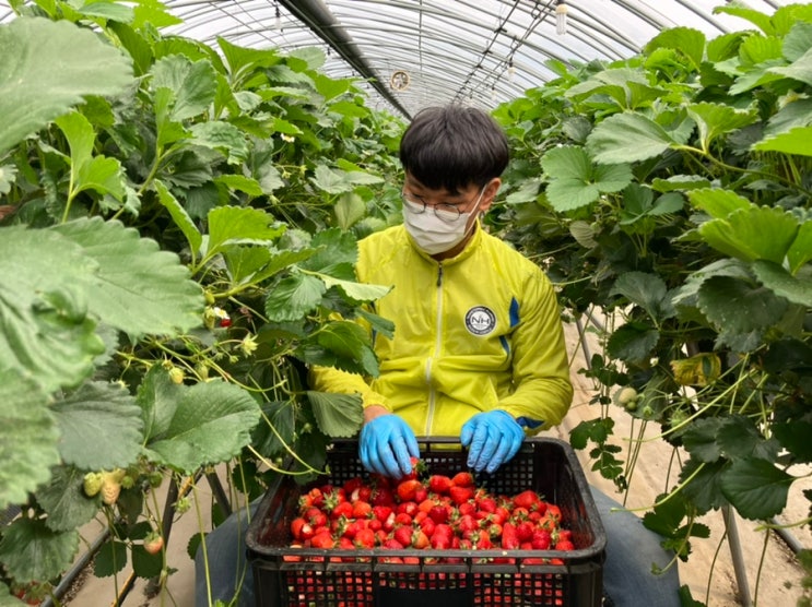  귀농 인턴제 현재 진행중!