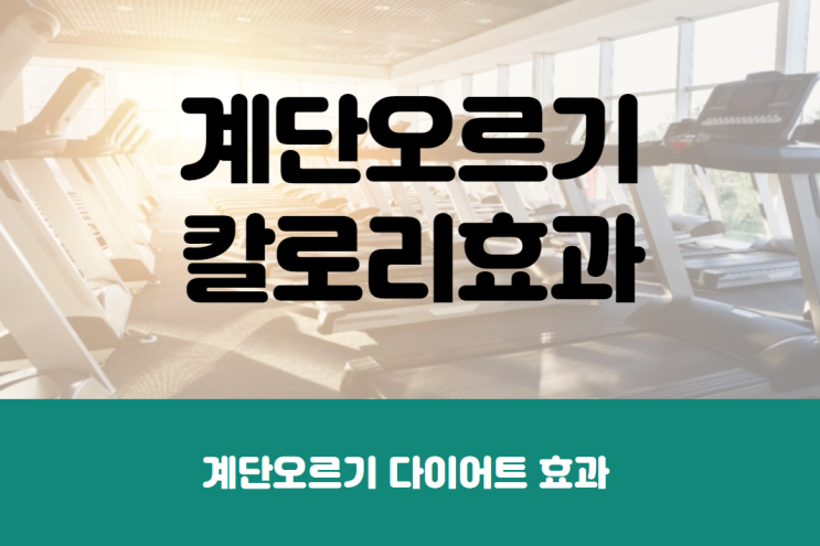  계단오르기 칼로리 및 다이어트 효과