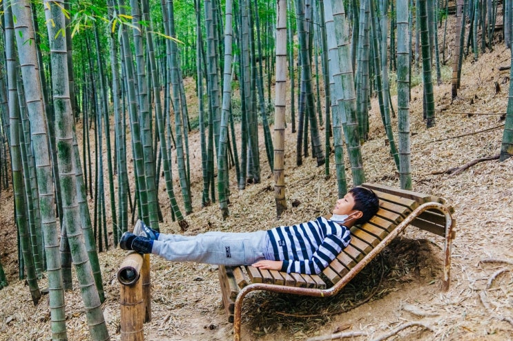 거제도 갈만한곳 바람의 언덕 맹종죽 테마공원 몽돌해수욕장 외 2곳 거제도 갈만한곳 바람의 언덕 맹종죽 테마공원 몽돌해수욕장 외 2곳