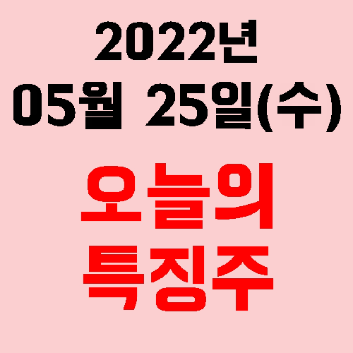  오늘의 시장 특징주 2022년 05월 25일(수)