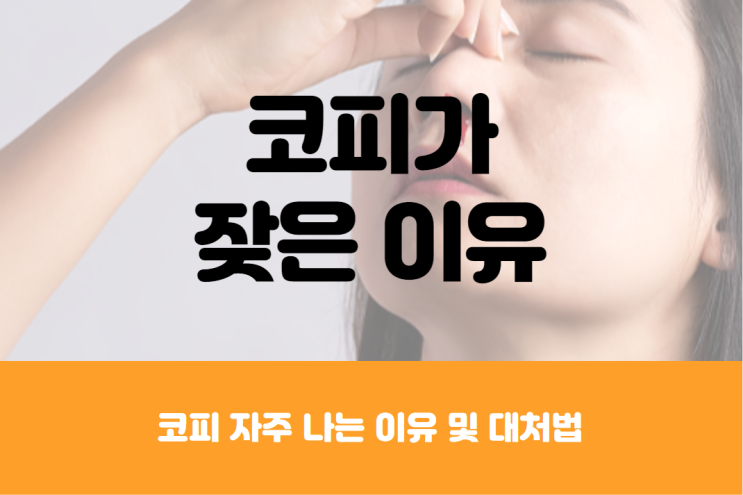  코피 자주 나는 이유