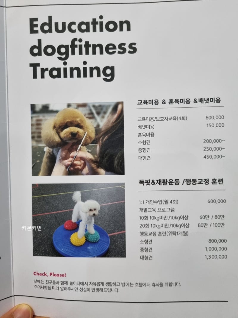 사진 4
