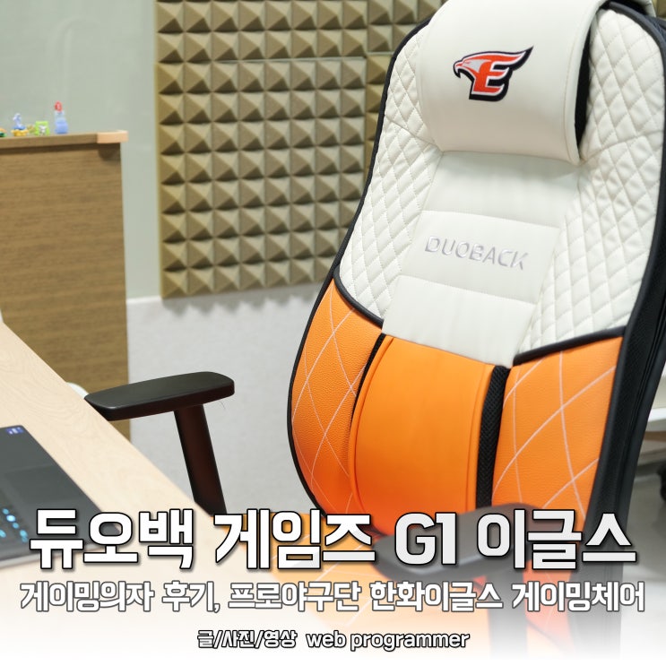 듀오백 게임즈 G1 이글스 게이밍의자 후기, 프로야구단 한화이글스 게이밍체어 듀오백 게임즈 G1 이글스 게이밍의자 후기, 프로야구단 한화이글스 게이밍체어