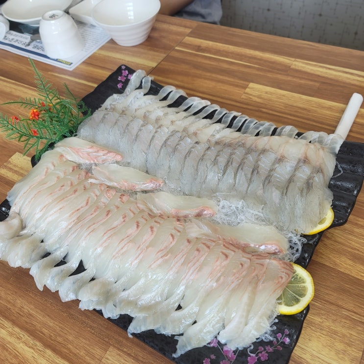  [세종] 회 한상차림 먹다